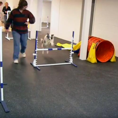 Rubber Flooring Rolls 1/4 Inch Regrind dog agility flooring.  