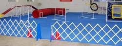dog flooring
