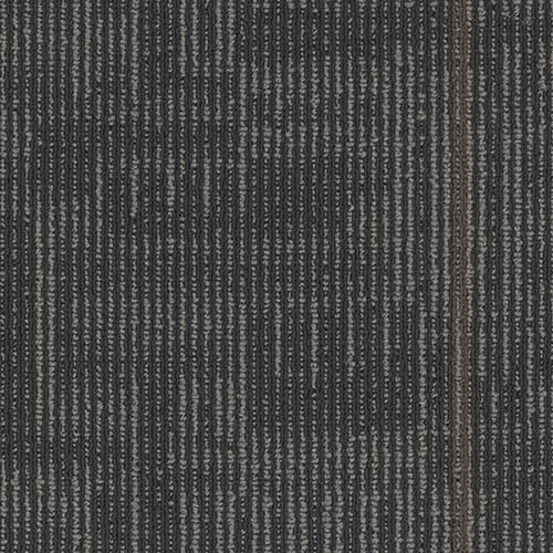 Echo Commercial Carpet Tiles 24x24 Inch Carton of 18 Carob Full