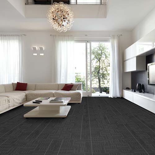 Echo Commercial Carpet Tiles 24x24 Inch Carton of 18 Living Room Install