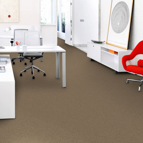 Rule Breaker Commercial Carpet Tiles praline solid install.