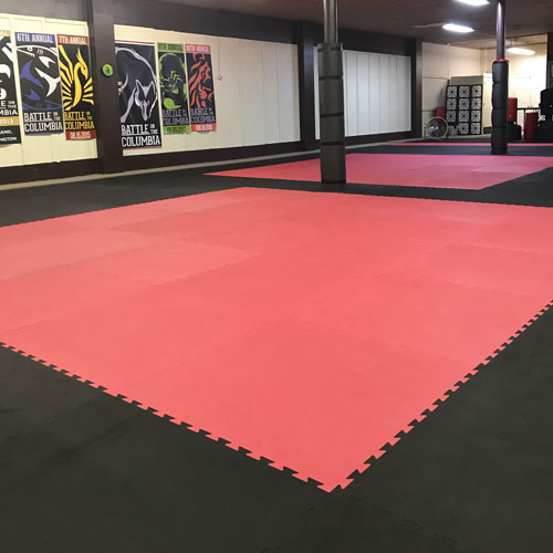washington taekwondo mats