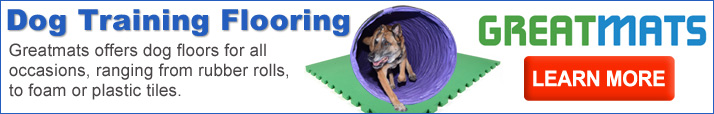 flooring types best for dog training