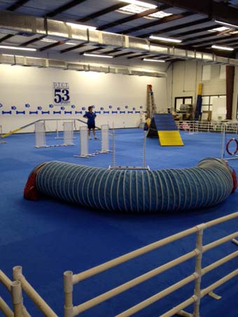 Dog Agility Mats