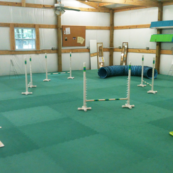 Dog Agility Mats - Customer Gallery