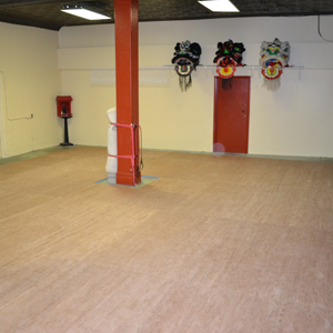 Karate Mats2 - Customer Gallery