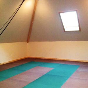 Martial Arts Pro 7/8 - Customer Gallery