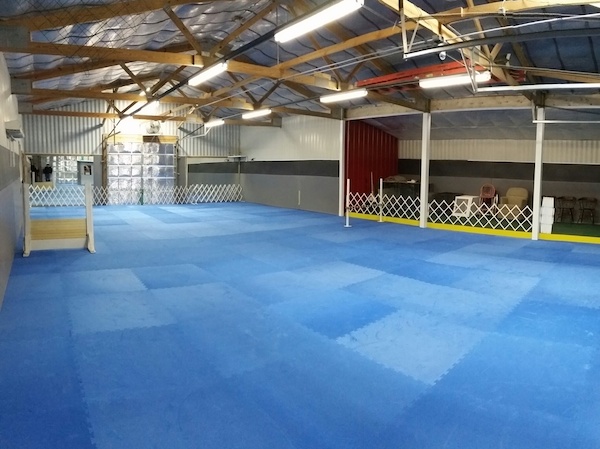 Dog facility using interlocking Agility Mats for flooring