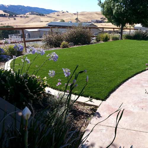 Catalina Artificial Turf Roll 7.5 Ft wide Artificial Turf small backyard install