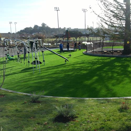 Traffic Blade Silver Playground Turf in large public park