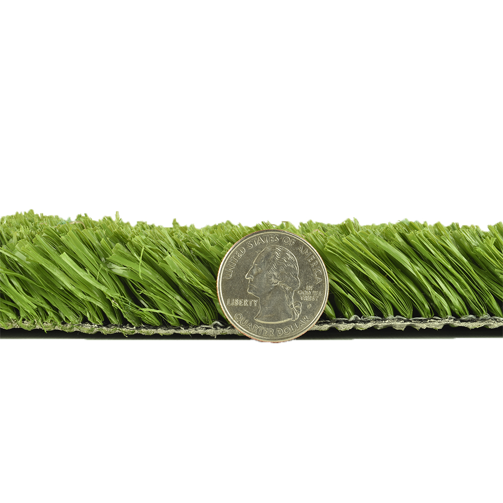 Chipper's Choice Artificial Turf Roll thickness comparison with quarter