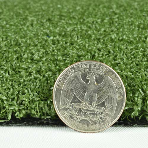 Money Putt Artificial Grass Turf Roll 15 FtThickness