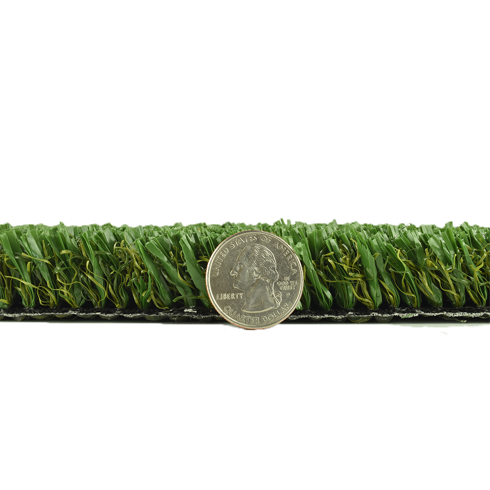 Pet Heaven Artificial Grass Turf Roll thickness comparison with quarter
