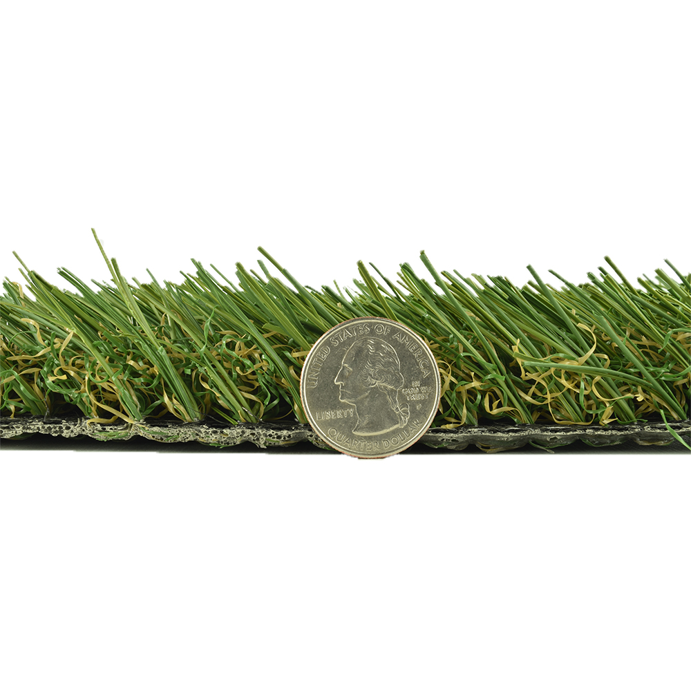 Sunny Sod Artificial Turf thickness comparison with quarter