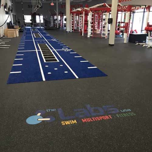 blue gym turf with hashmarks ladders agility dots in gym with rubber flooring
