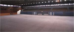protective carpet tile