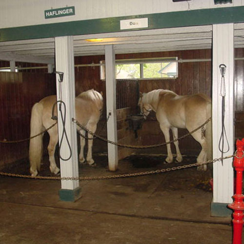 Equine Horse Stall Mats Kits showing horse in stall.