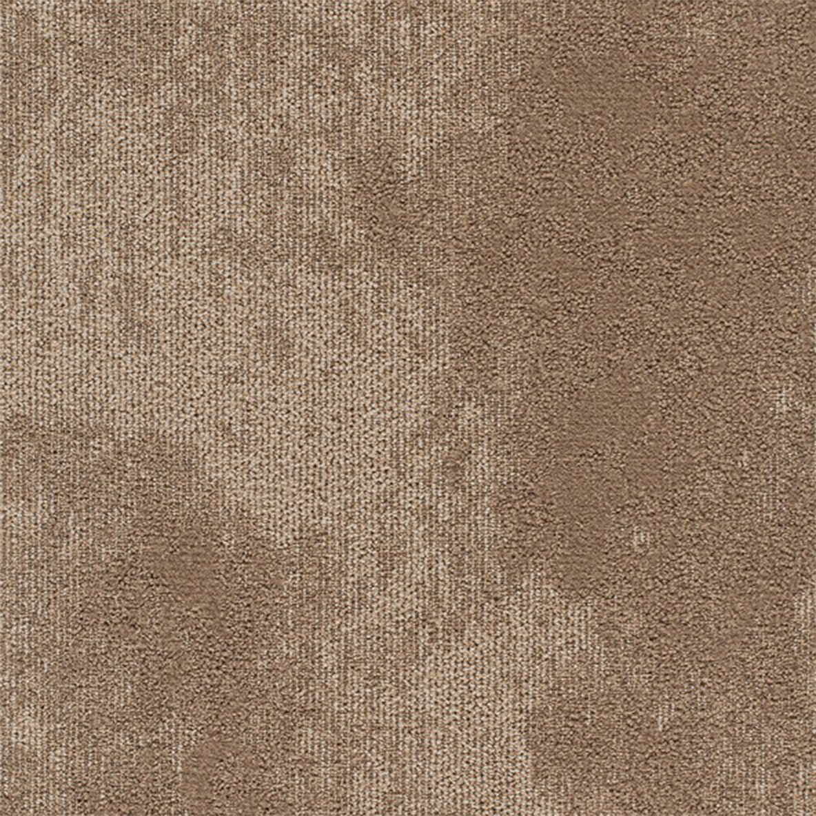 Nautilus Close up High Tide Commercial Carpet Tile .31 Inch x 50x50 cm per Tile