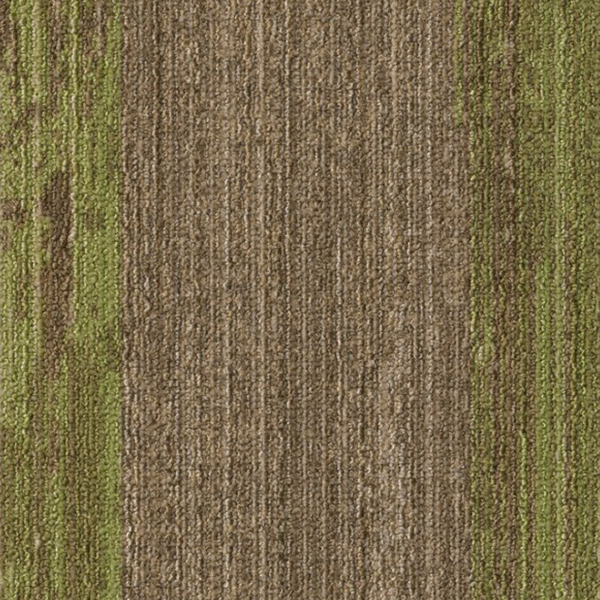 Beech Grass close up color Ingrained Commercial Carpet Plank Colors .28 Inch x 25 cm x 1 Meter Per Plank