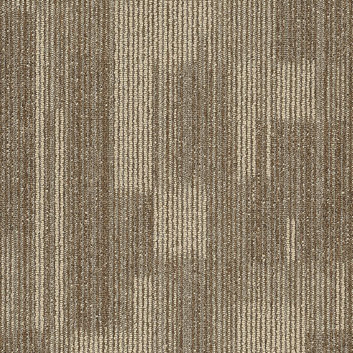 Point of View Commercial Carpet Plank .27 Inch x 18x36 Inches 10 per Carton Ingenious color close up