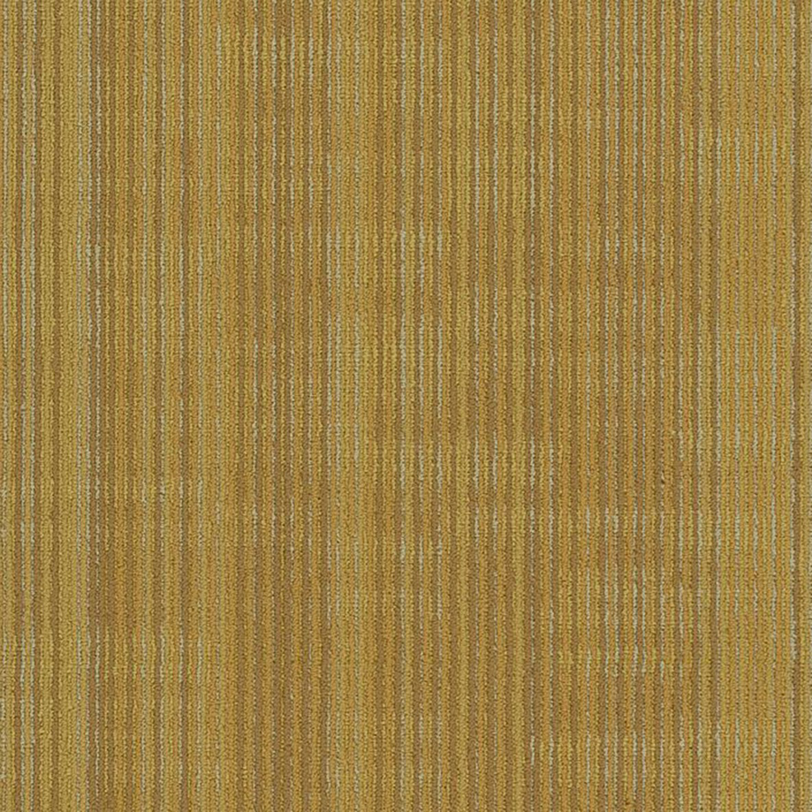 Trinity Commercial Carpet Plank .22 Inch x 1.5x3 Ft. 10 per Carton Vector color close up