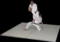 gym mats, gymnastics mats, folding mats
