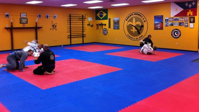 Karate Kicks