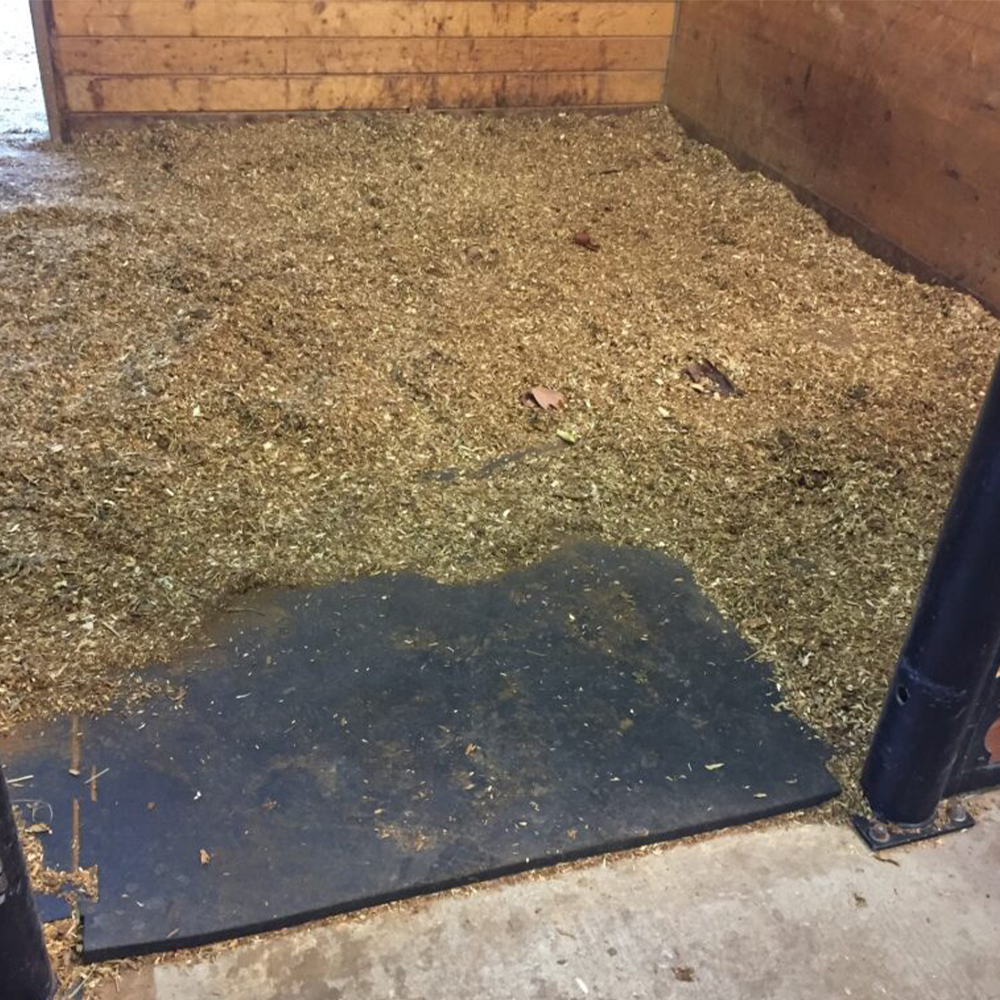 Horse Stall Mat Classic Interlocking 3/4 Inch x 12x12 Ft. Kit stall need to be cleaned