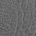 Leather PVC Floor Tile Black or Dark Gray 6 tiles Dark Gray Swatch