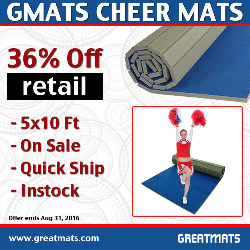 Installing Gym Floors over Carpeted Areas Ideas and Options