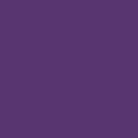 Purple roll out MMA mat