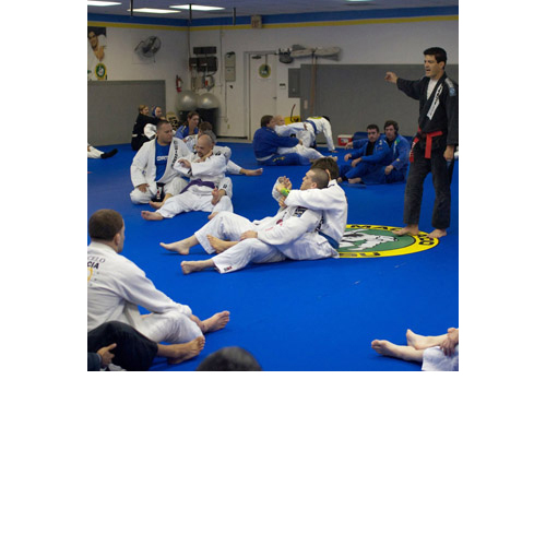 Flexible Roll Out Mats 1-5/8 Inch grappling in martial arts floor.