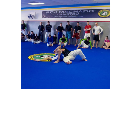 Flexible Roll Out Mats 1-5/8 Inch grappling.