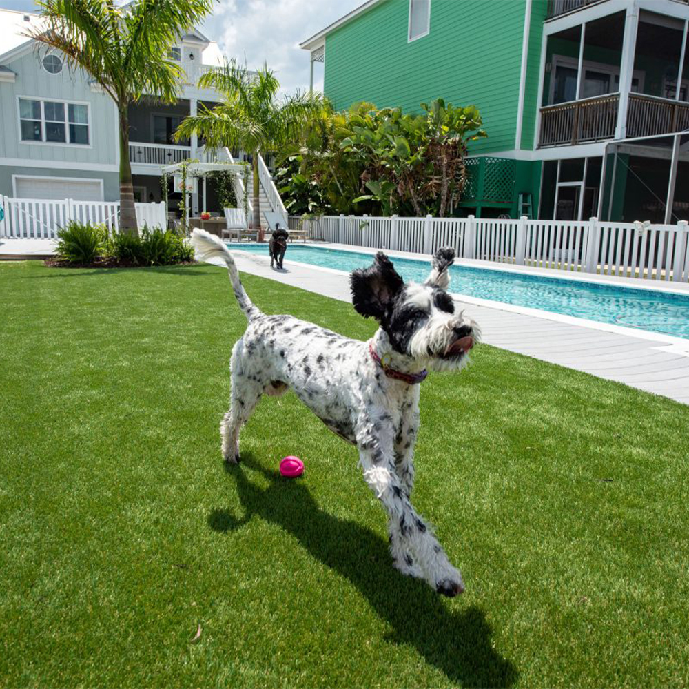 Simply Natural Tall Artificial Grass Turf 2 Inch x 15 Ft. Wide per SF Lap pool and dogs