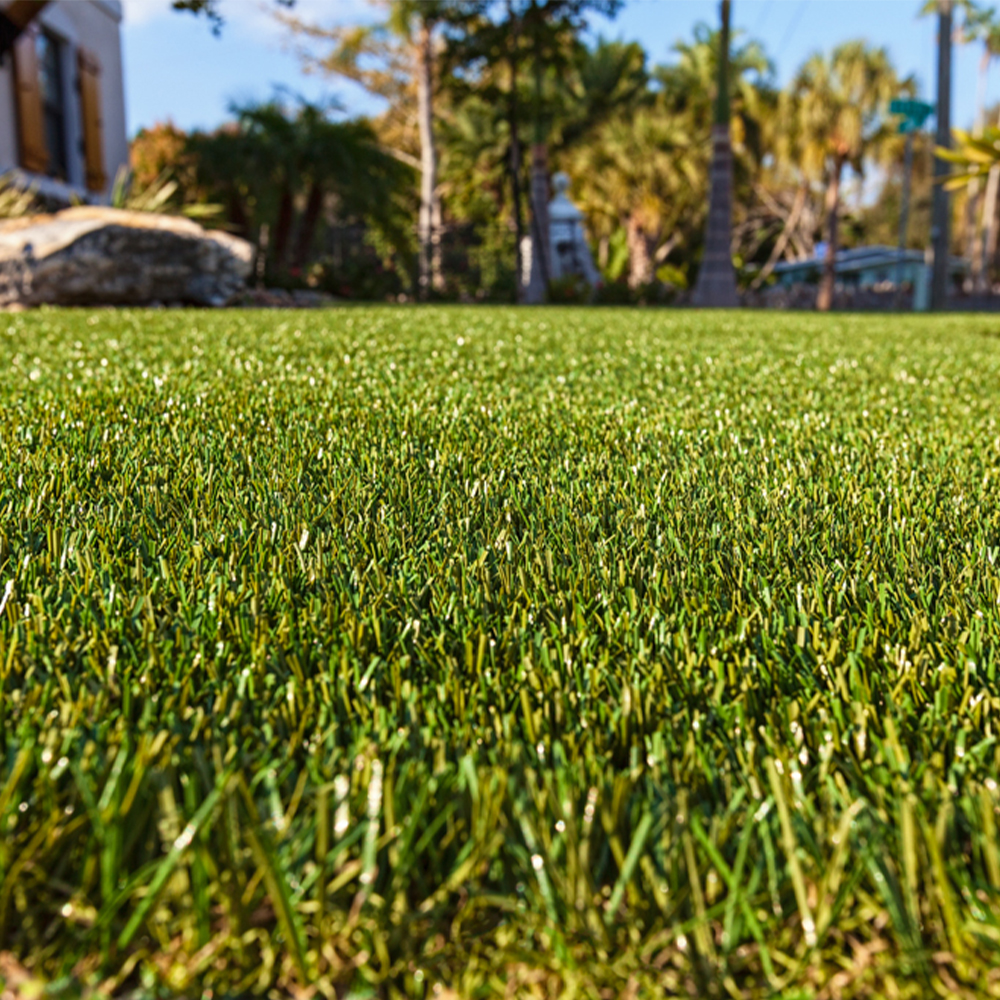 ZeroLawn Classic Artificial Grass Turf 1-1/2 Inch x 15 Ft. Wide per SF close up installed view