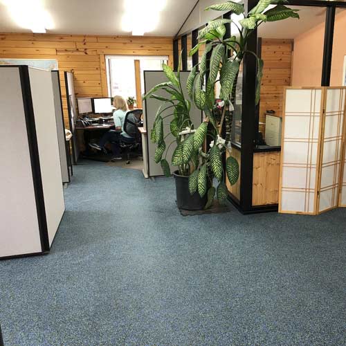 Colored Rubber Flooring In Office