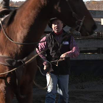 How to Desensitize a Horse with a Rope