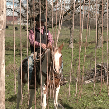 How to Get Horses Through Cowboy Curtain Obstacle