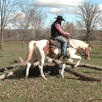 How to Get Horses Past Log Obstacles