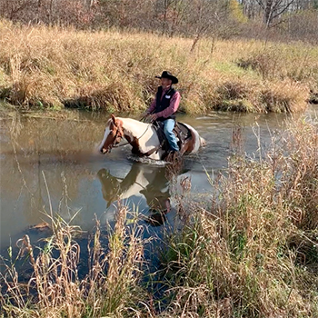 How to Get Horses to Cross Water
