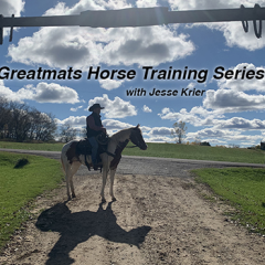 Horse Training Video Tutorials thumbnail