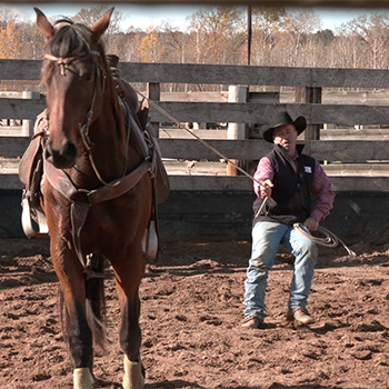 How to Desensitize a Horse with a Lariat