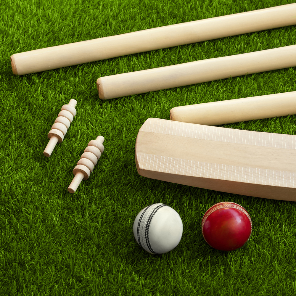 Indoor and Outdoor Cricket Mats