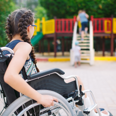 ada compliant wheelchair accessible playground thumbnail