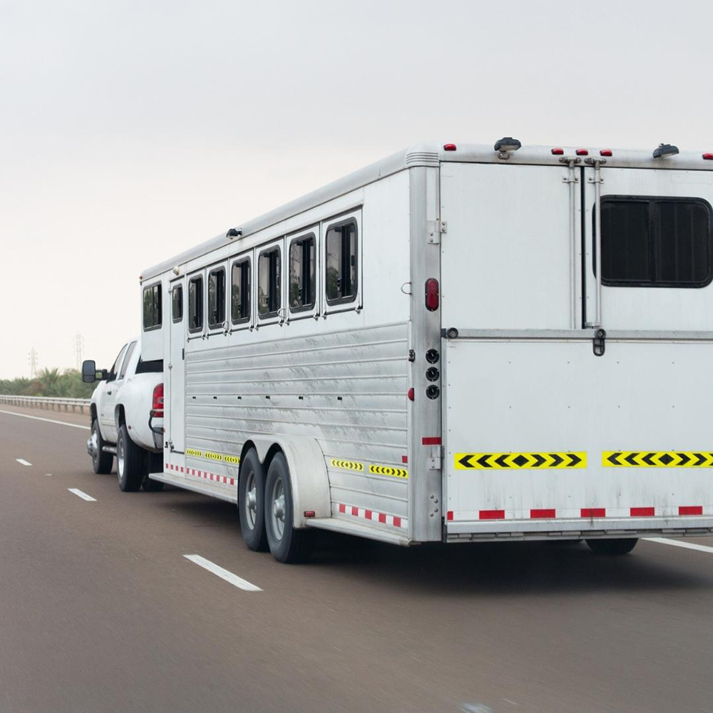 truck and horse trailer traveling on road