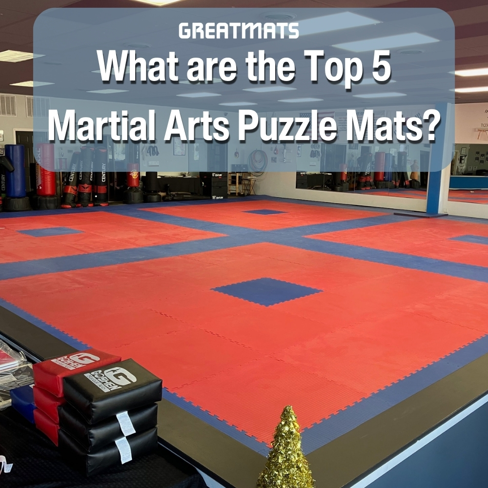 top 5 martial arts puzzle mats