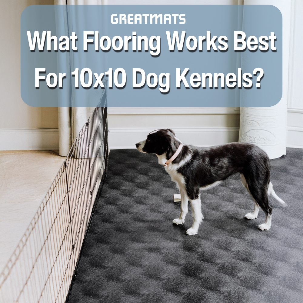 best flooring for 10x10 dog kennel