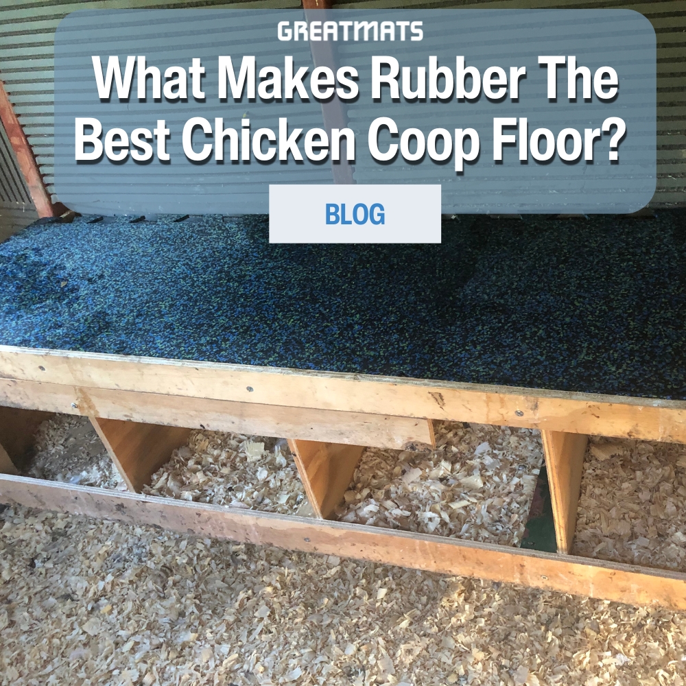 flooring for a chicken coop