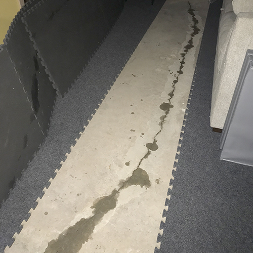 removable carpet tiles in wet leaking basement