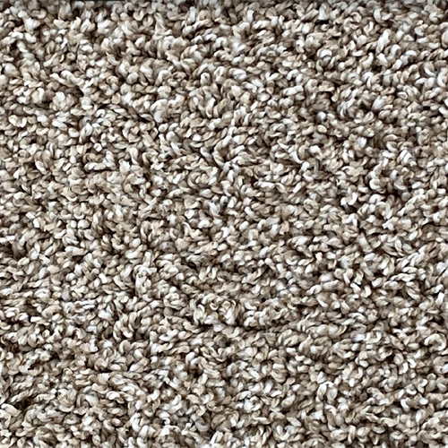 carpet that doesn't shed